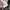 Le Coq Sportif Casual T-shirt Pria white photo 6