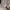 ZARA Coquette Casual Maxi dress Wanita multicolor photo 3