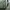 Japanese brand Vintage Y2K Bag Pria green photo 2