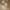Vintage Luxury Pria tan khaki photo 4