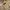 Vintage Luxury Pria tan khaki photo 2