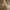 Vintage Luxury Pria tan khaki photo 1