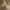 Vintage Luxury Pria Tan Khaki