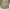WHO.A.U Streetwear Casual Casual shirt Pria cream photo 1