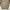 WHO.A.U Streetwear Casual Casual shirt Pria cream photo 2