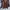Futurist Blouse Wanita brown photo 1