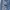 Levi's Biker Short Pria blue photo 2