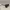 Oakley Casual Sunglass Pria red black photo 3