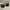 Oakley Casual Sunglass Pria red black photo 5