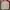 Streetwear Trench coat Pria cream photo 2