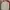 Streetwear Trench Coat Pria Cream