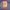Dickies Streetwear Bomber jacket Pria navy photo 2