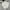 Timberland Casual Formal Shirt Pria White Tan