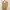 Vintage Casual Blazer Wanita tan photo 1