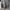 Casual Sweatshirt Wanita gray photo 1