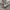 Russell Athletic Vintage Y2K Hoody Pria gray photo 4