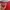 Streetwear Gorpcore Jersey Pria Red
