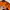 Adidas Streetwear Casual Track jacket Pria orange photo 4