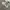 Nike Sportswear Futurist Sneakers Pria white photo 3