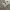 Nike Sportswear Futurist Sneakers Pria white photo 1