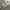Nike Sportswear Futurist Sneakers Pria White