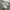 Nike Sportswear Futurist Sneakers Pria white photo 2