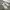 Nike Sportswear Futurist Sneakers Pria White