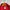 Adidas Streetwear Casual Track jacket Pria red photo 4