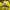 Puma Casual Sneakers Pria yellow photo 1