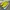 Puma Casual Sneakers Pria yellow photo 2
