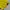 Adidas Casual T-shirt Pria yellow photo 4
