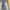 Vintage Jeans Pria blue photo 8