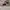 New Balance Avant Garde Sneakers Pria cream photo 2