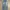 Vintage Jeans Pria blue photo 2