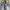 Vintage Jeans Pria blue photo 4