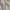 Vintage Jeans Pria white photo 7