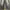 Vintage Jeans Pria gray photo 5