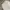 GU Streetwear Skater Jeans Pria white photo 5