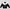 Nike Casual Track Jacket Pria White Black