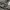Adidas Sportswear Minimalist Sweatpants & Joggers Pria gray photo 4