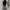 Polo Ralph Lauren Gorpcore Casual Windbreaker Pria black photo 2