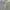 Pancoat Streetwear Blazer Pria gray photo 1
