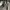 H&M Streetwear Y2K Jeans Pria gray photo 5