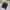 GU Casual Sweatshirt Wanita black photo 3