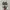 Nike Sportswear Sneakers Pria multicolor photo 5