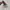 Nike Sportswear Sneakers Pria multicolor photo 4