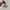 Nike Sportswear Sneakers Pria multicolor photo 4