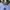 Polo Ralph Lauren Casual Formal shirt Pria blue photo 2