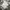 Patagonia Vintage Casual Short Pria white photo 2