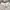Patagonia Vintage Casual Short Pria white photo 3